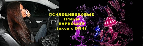 PSILOCYBIN Сатка