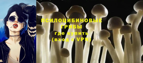 крисы Баксан