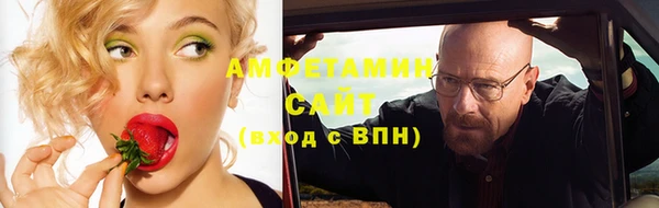 крисы Баксан