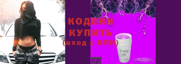 крисы Баксан