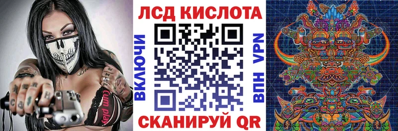 кракен маркетплейс  купить наркотики сайты  Западная Двина  Марки NBOMe 1,5мг 